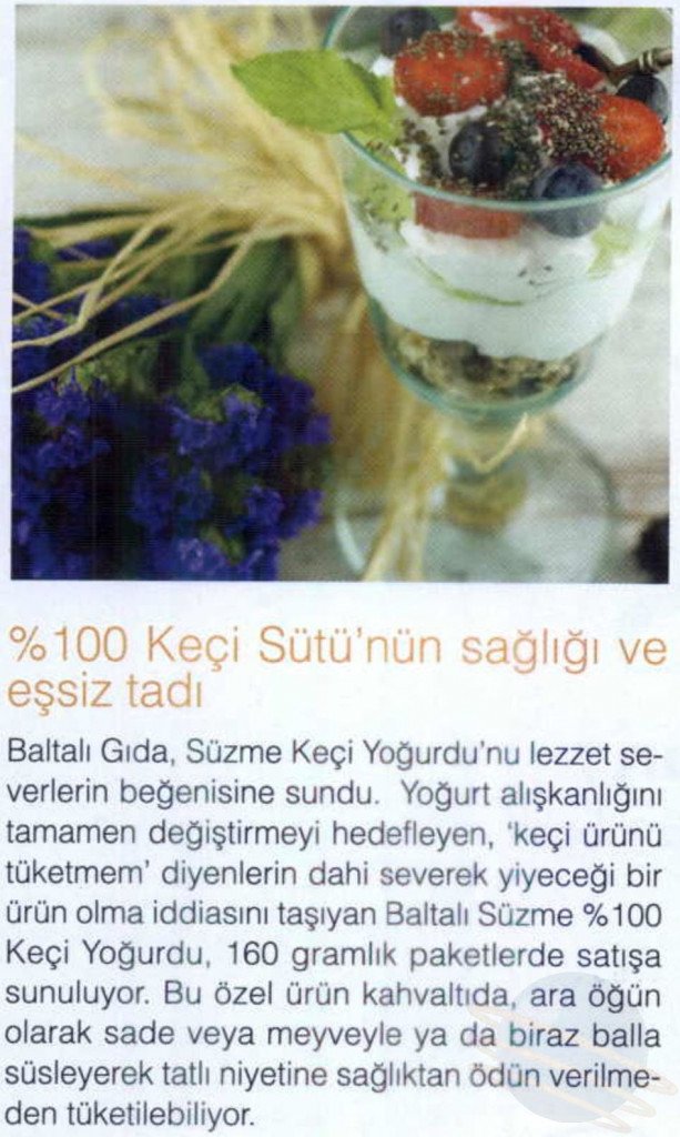 Anne Bebek-01.01.2017